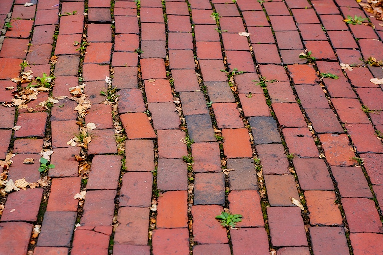 Brick Path