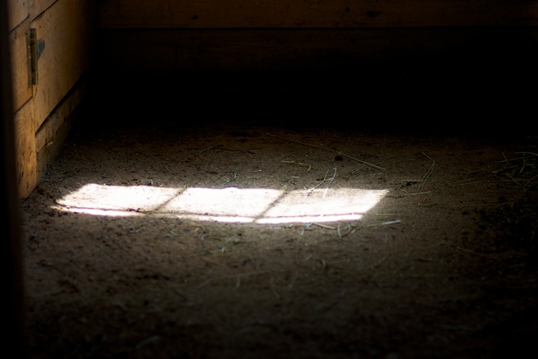 Barn Light