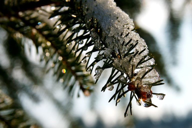 Frozen Droplets