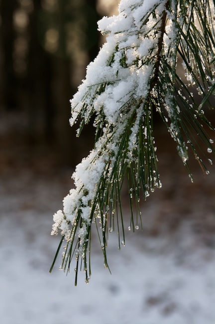 Melting Snow