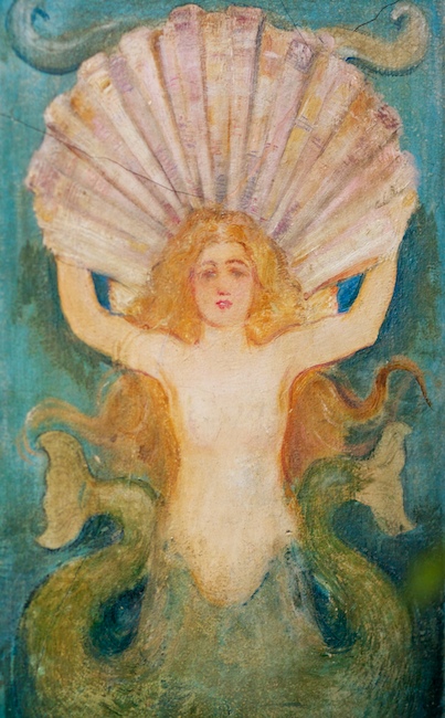A Mermaid's Song