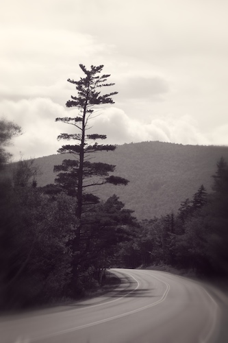 Into the Unknown