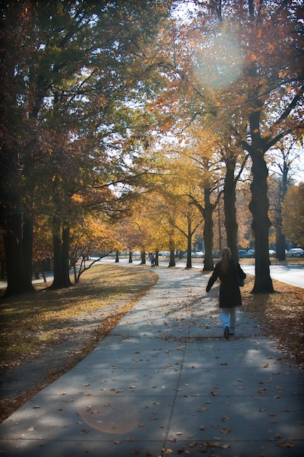 November Light