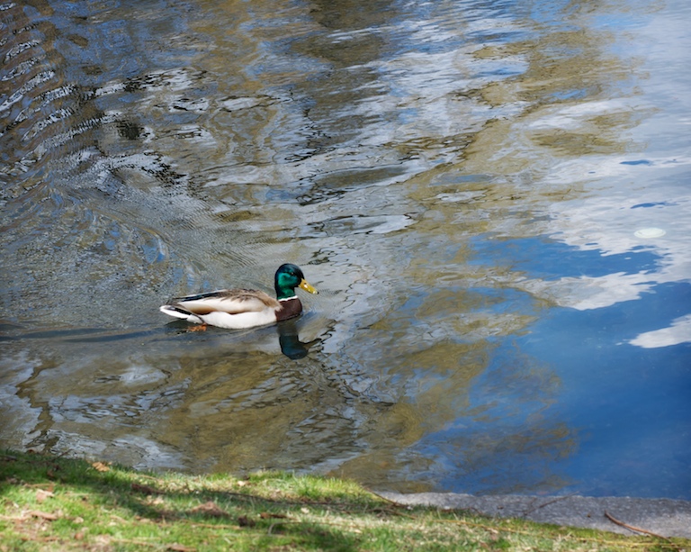 Reflecting on a Season