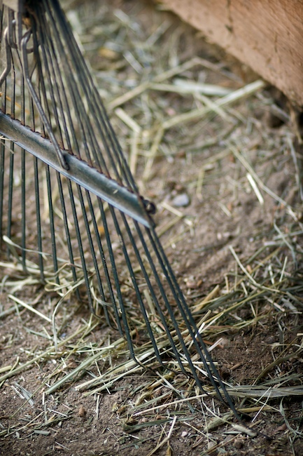 Raking Hay