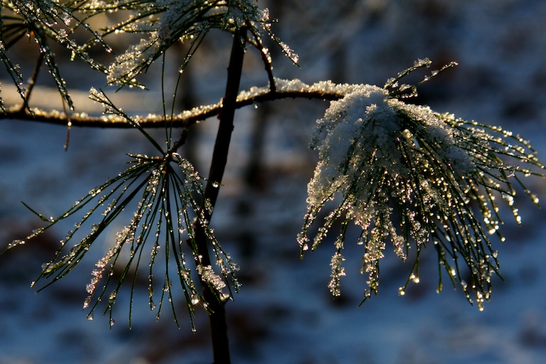 Solstice Blessings