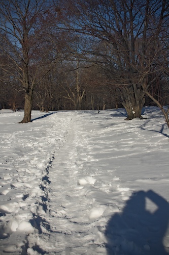 The Path Ahead