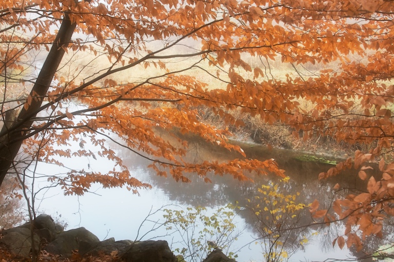 The River in Autumn