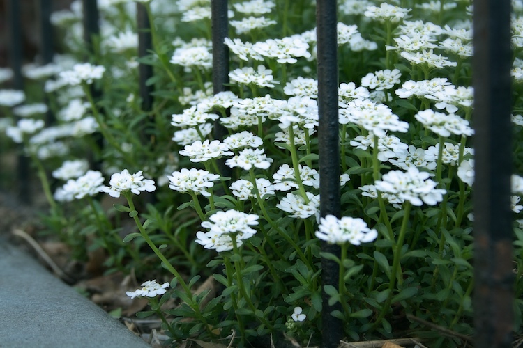 Everything in between